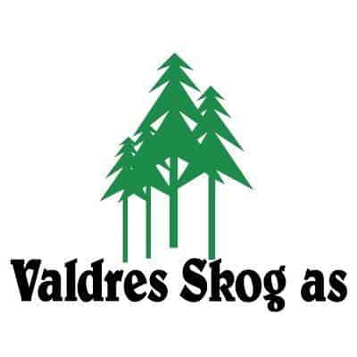 Valdres Skog AS, logo