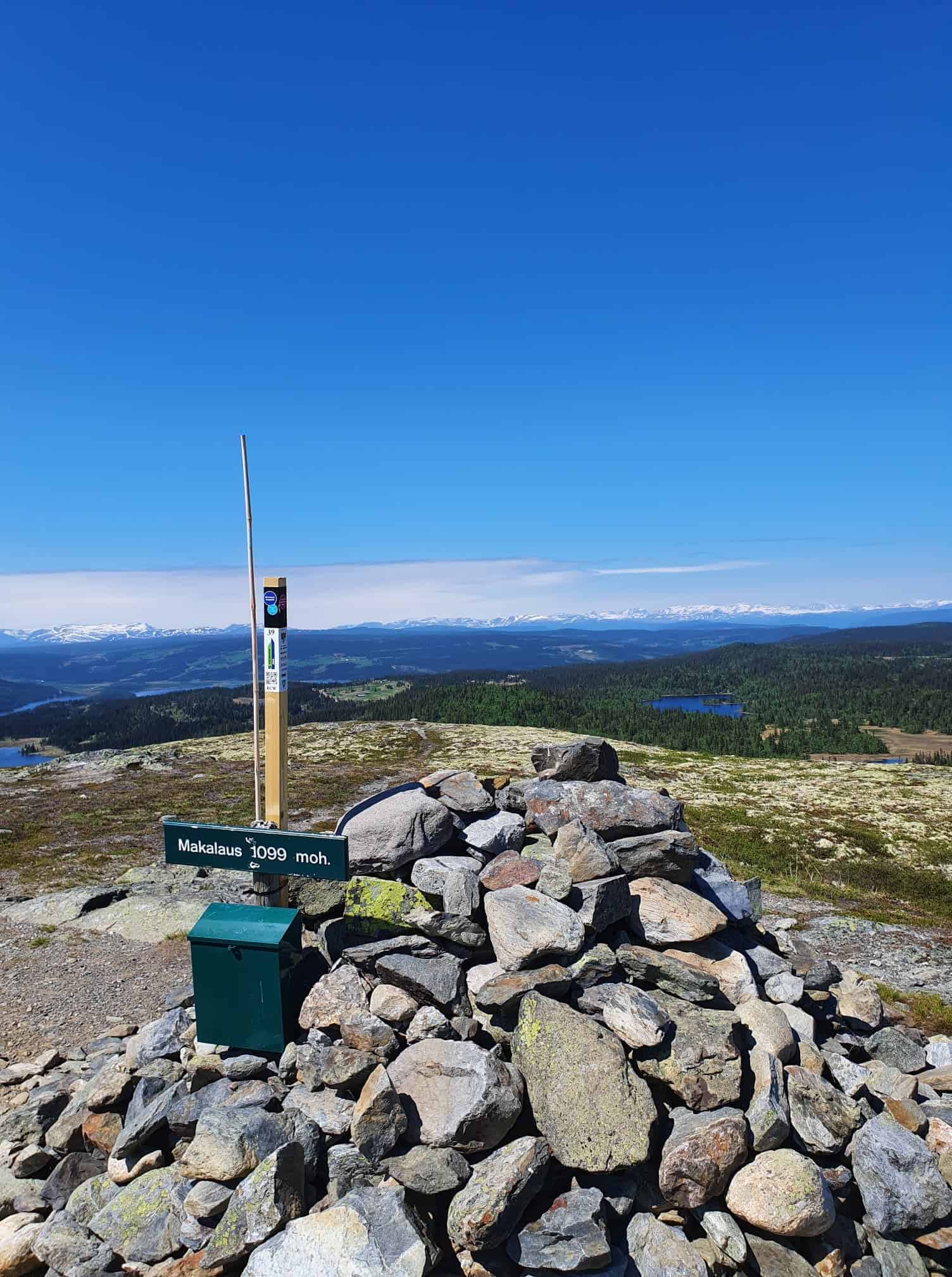 Makalaus Bente Brustad