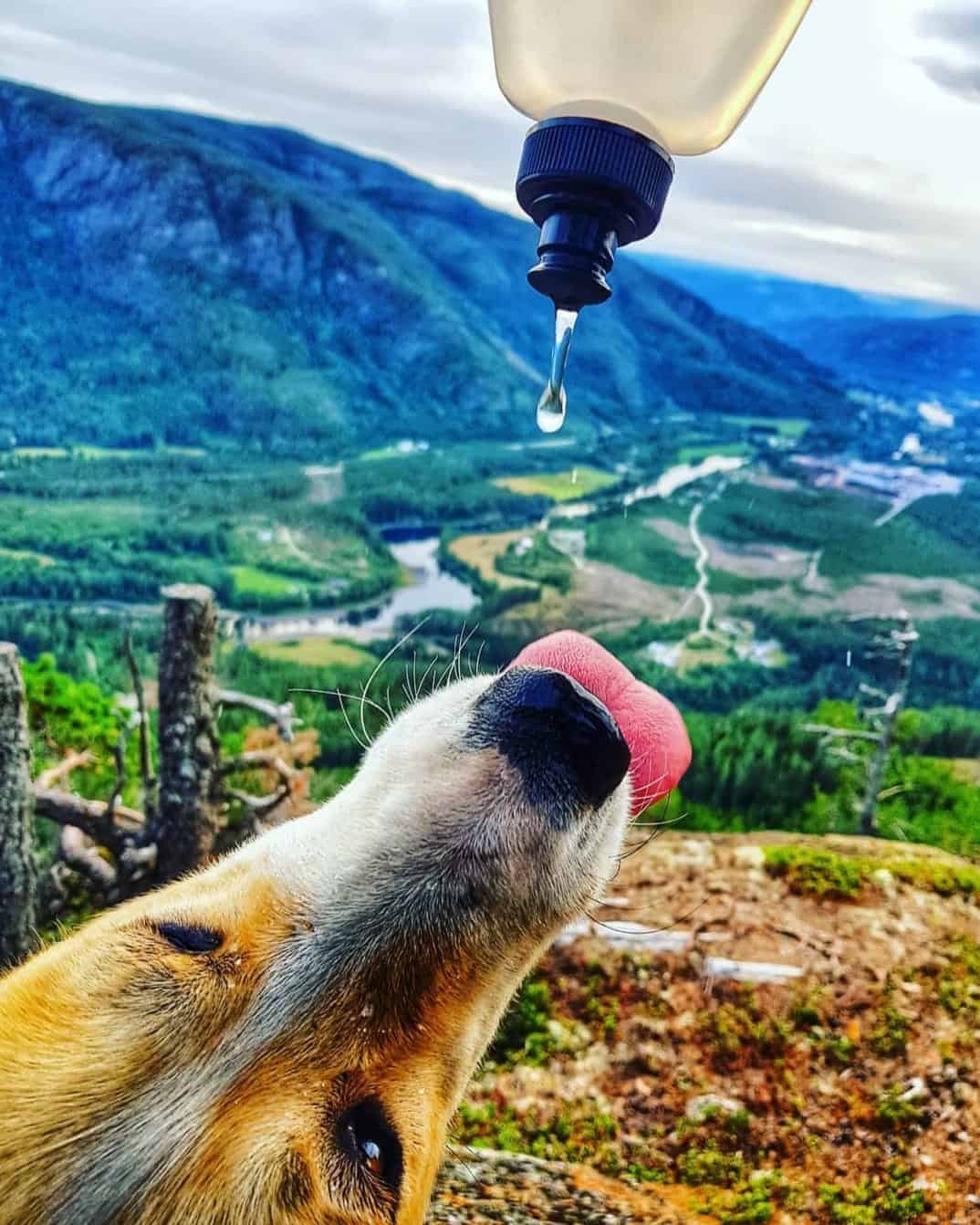 Puttekollen, av Christel B. L&aelig;rum