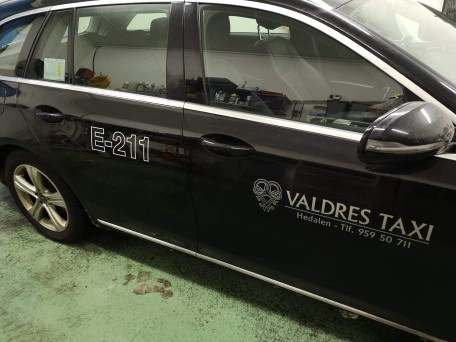 Hedalen Taxi, logo